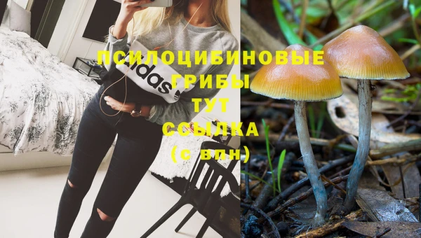 гидропоника Зеленокумск