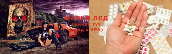 ALPHA PVP Инта