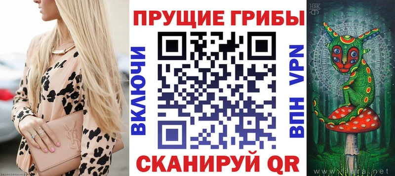 Купить где  Дзержинский  Галлюциногенные грибы прущие грибы 